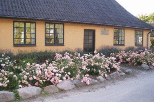 Dyrlev Bed & Breakfast Præstø Zewnętrze zdjęcie