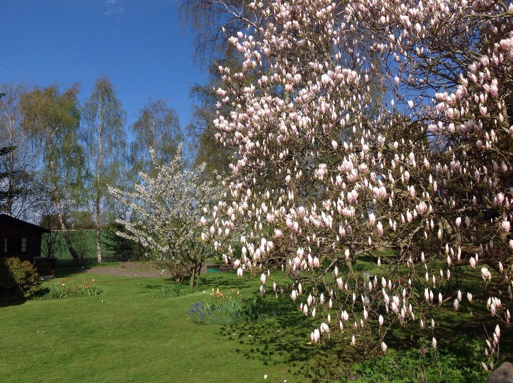 Dyrlev Bed & Breakfast Præstø Zewnętrze zdjęcie