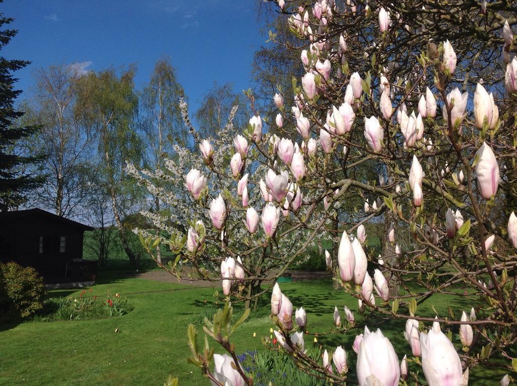 Dyrlev Bed & Breakfast Præstø Zewnętrze zdjęcie