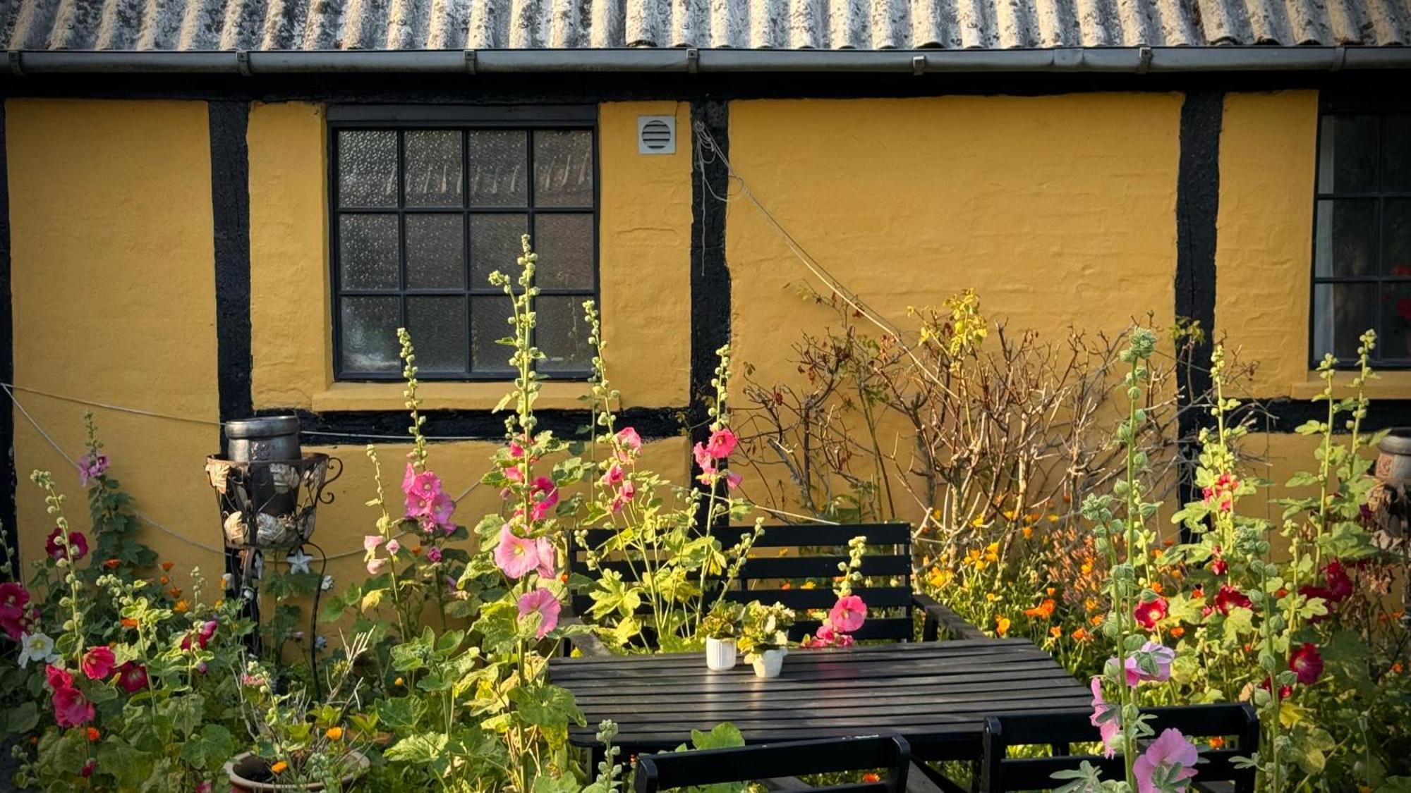 Dyrlev Bed & Breakfast Præstø Zewnętrze zdjęcie