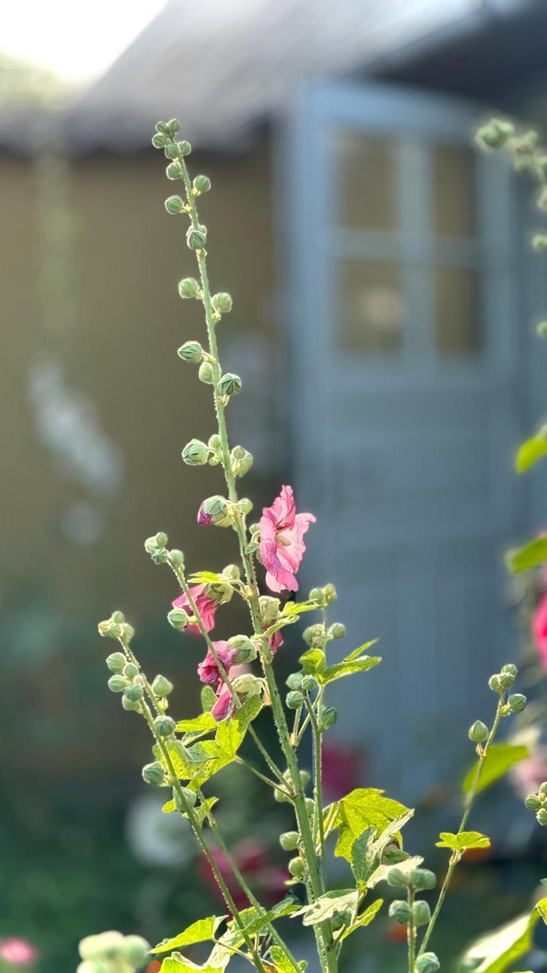 Dyrlev Bed & Breakfast Præstø Zewnętrze zdjęcie